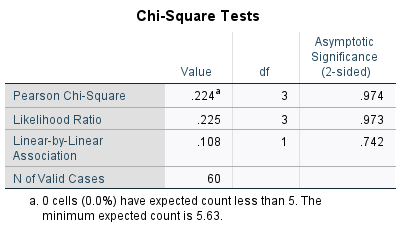 SPSS chi-square tests